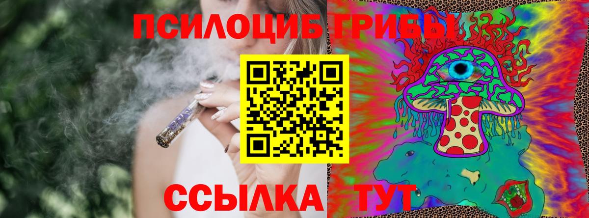 Электросталь  Псилоцибиновые грибы GOLDEN TEACHER  Вход с VPN 