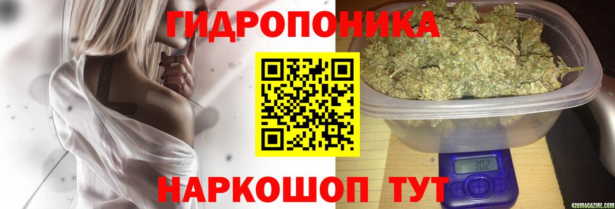 Бошки марихуана White Widow  Каннабис MAZAR  Электросталь  Марихуана Ganja  МАРИХУАНА марихуана  Вход с VPN 